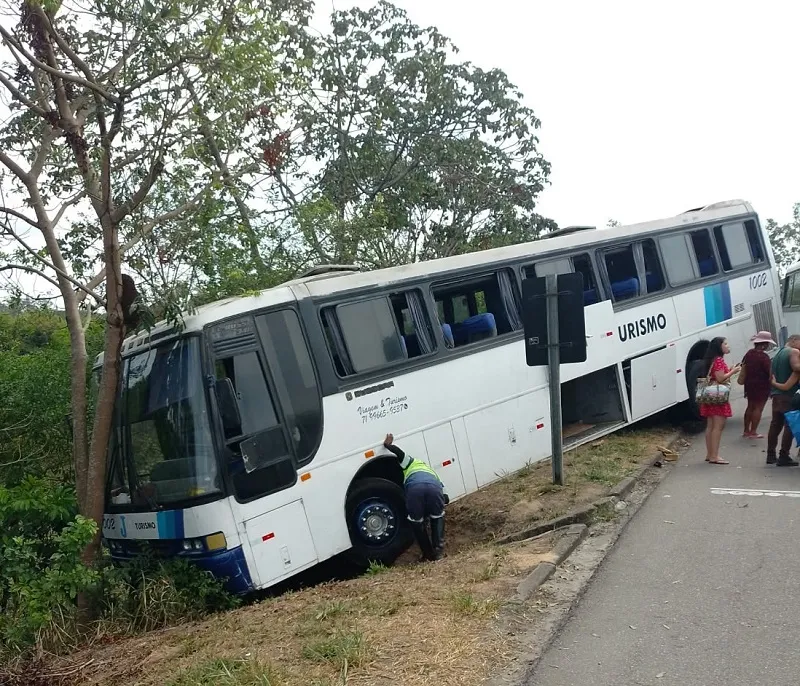 Imagem da matéria: Ônibus bate em árvore e deixa uma pessoa ferida na região do Polo Industrial de Camaçari